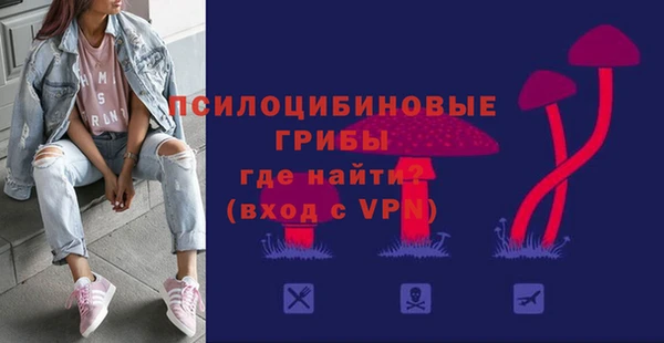 твердый Арсеньев