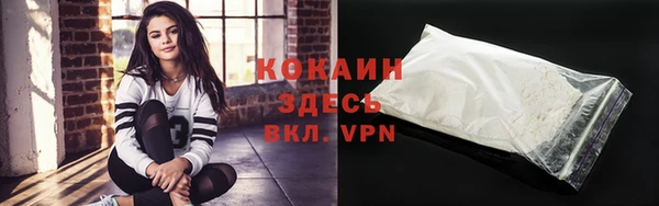 твердый Арсеньев