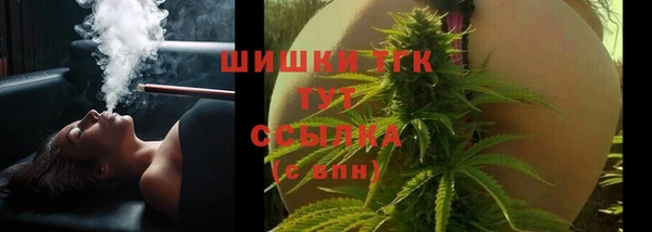 твердый Арсеньев