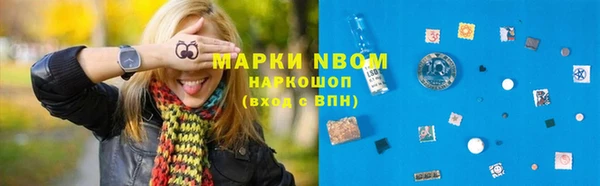 твердый Арсеньев