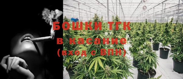 твердый Арсеньев