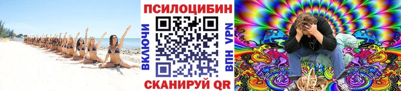 Псилоцибиновые грибы GOLDEN TEACHER  цена   Волхов 